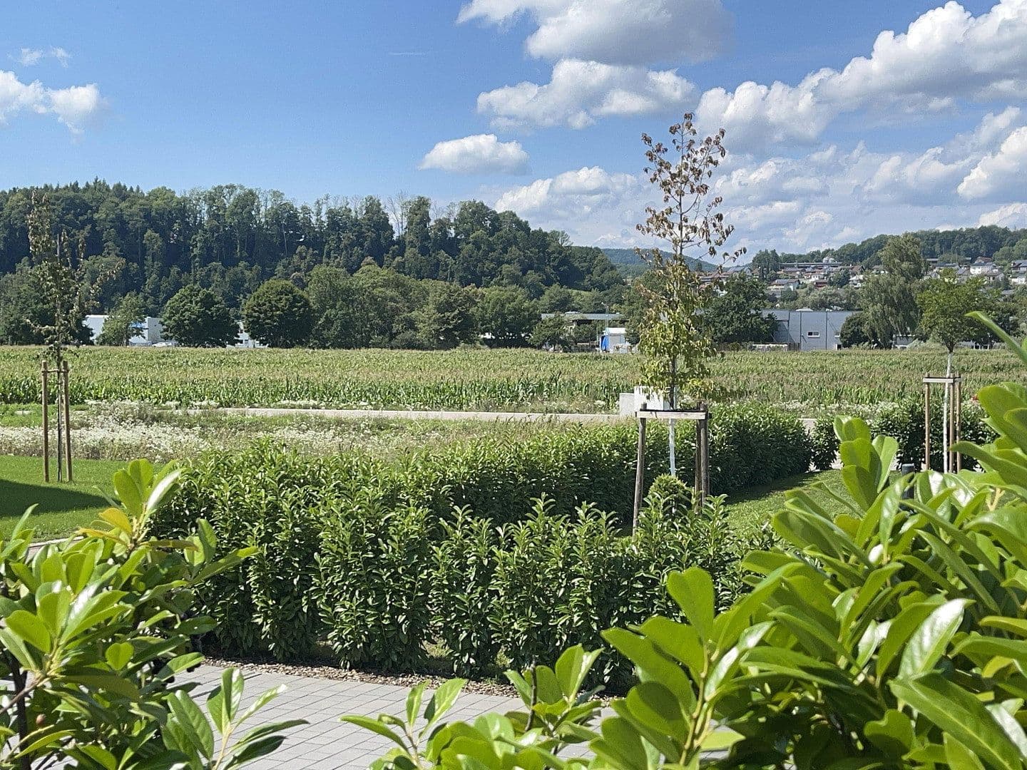 Prodej domu 220 m², pozemek 741 m², Wutöschingen, Bádensko-Württembersko Prodej domu 220 m², pozemek 741 m², Wutöschingen, Bádensko-Württembersko