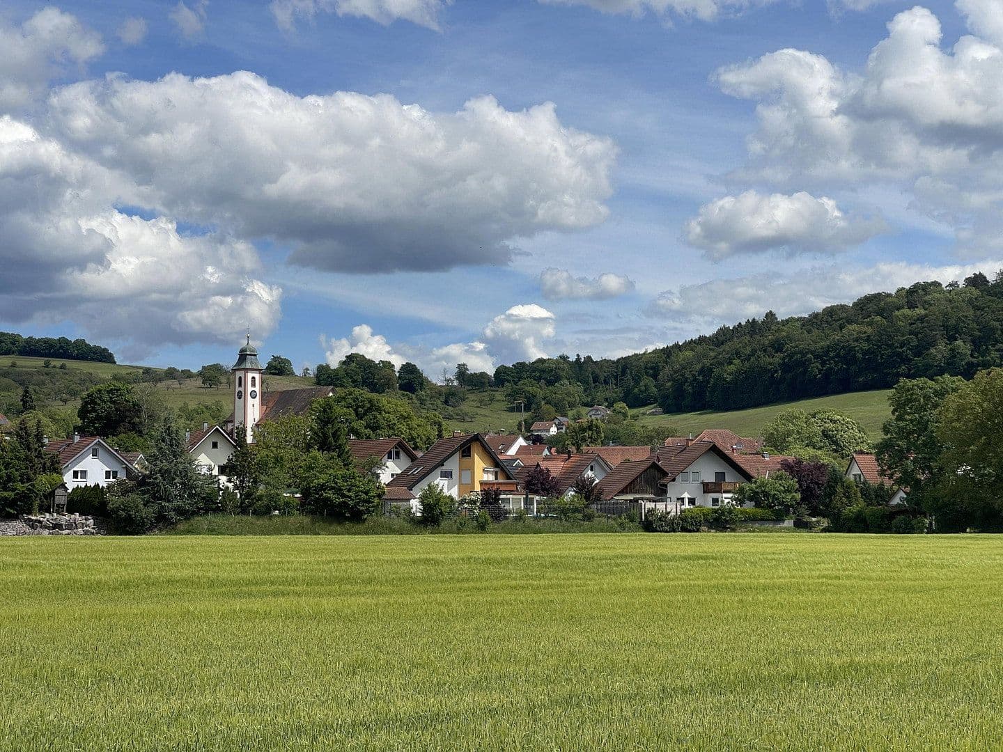 Prodej domu 220 m², pozemek 741 m², Wutöschingen, Bádensko-Württembersko Prodej domu 220 m², pozemek 741 m², Wutöschingen, Bádensko-Württembersko