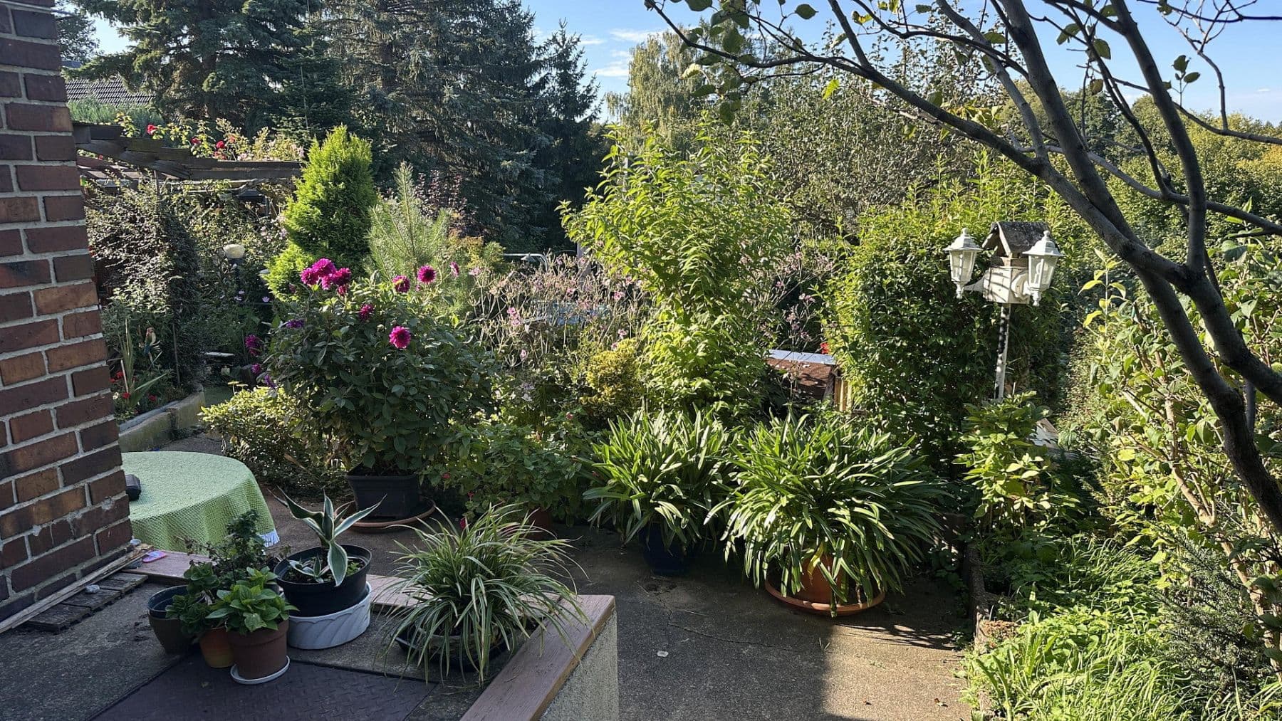 Prodej domu 90 m², pozemek 823 m², Chemnitz OT Schönau, Sasko Prodej domu 90 m², pozemek 823 m², Chemnitz OT Schönau, Sasko