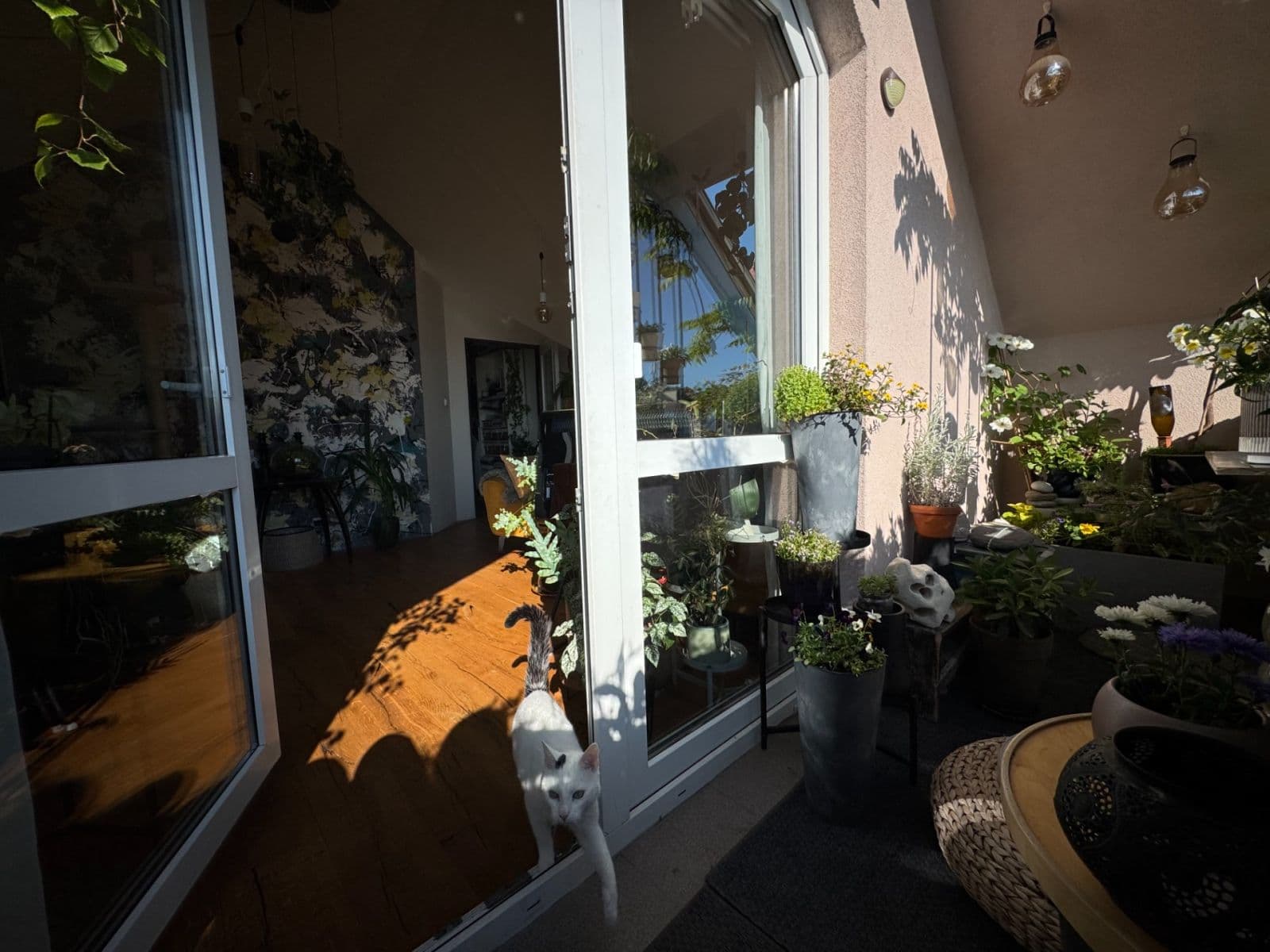 Prodej bytu 3+kk 66 m², Žiželická, Praha, Praha Prodej bytu 3+kk 66 m², Žiželická, Praha, Praha