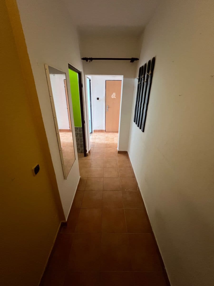 Prodej bytu 3+1 58 m², Nedvědova, Olomouc, Olomoucký kraj Prodej bytu 3+1 58 m², Nedvědova, Olomouc, Olomoucký kraj