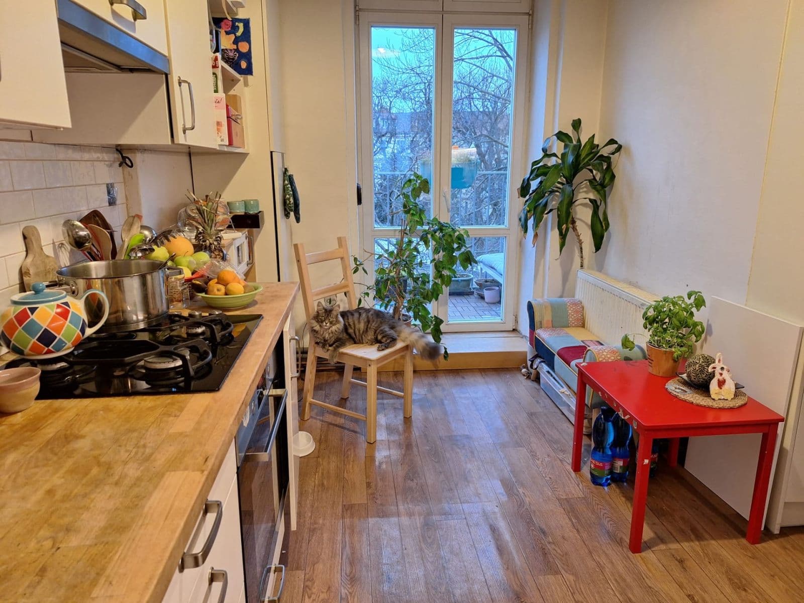 Pronájem bytu 3+1 78 m², Bezručova, Brno, Jihomoravský kraj Pronájem bytu 3+1 78 m², Bezručova, Brno, Jihomoravský kraj