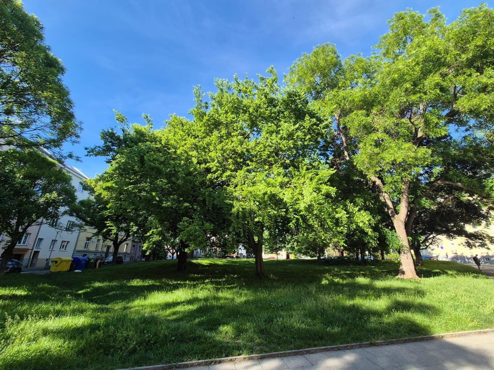 Prodej bytu 3+1 78 m², Zacpalova, Opava, Moravskoslezský kraj Prodej bytu 3+1 78 m², Zacpalova, Opava, Moravskoslezský kraj