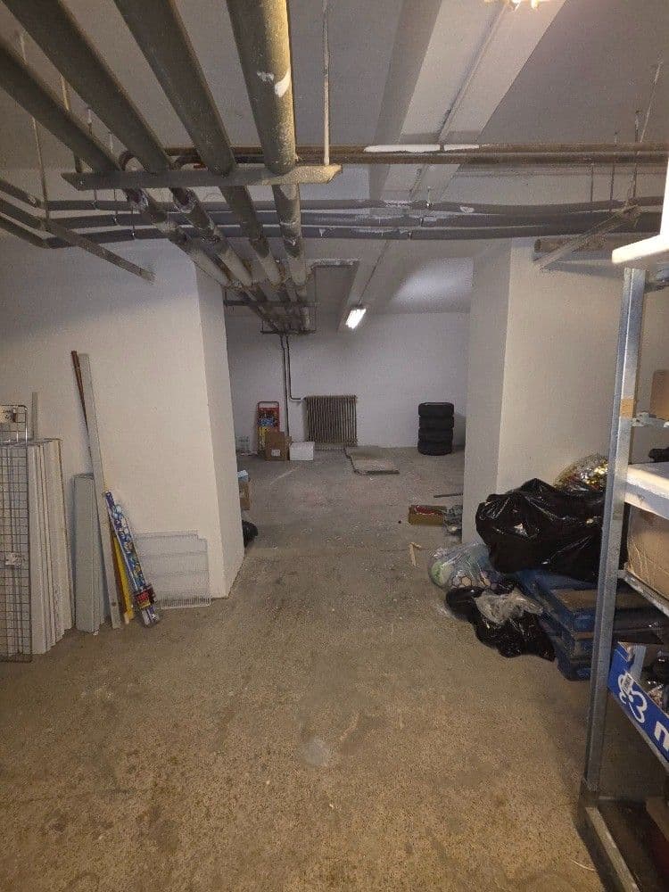 Pronájem nebytového prostoru 251 m², Hartigova, Praha, Praha Pronájem nebytového prostoru 251 m², Hartigova, Praha, Praha