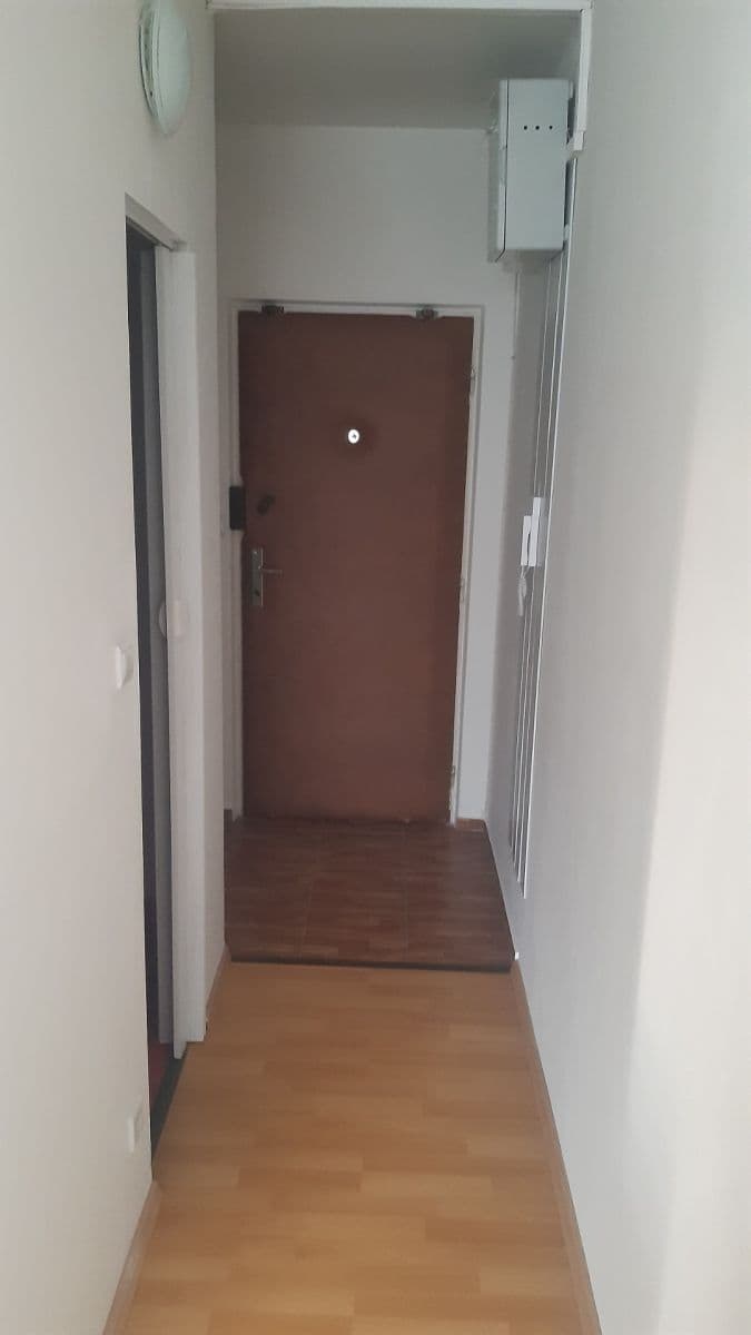 Pronájem bytu 1+1 35 m², Žitná, Brno, Jihomoravský kraj Pronájem bytu 1+1 35 m², Žitná, Brno, Jihomoravský kraj