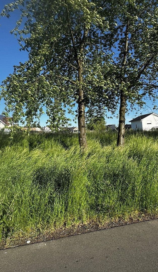 Prodej pozemku 657 m², Vellmar, Hessen Prodej pozemku 657 m², Vellmar, Hessen