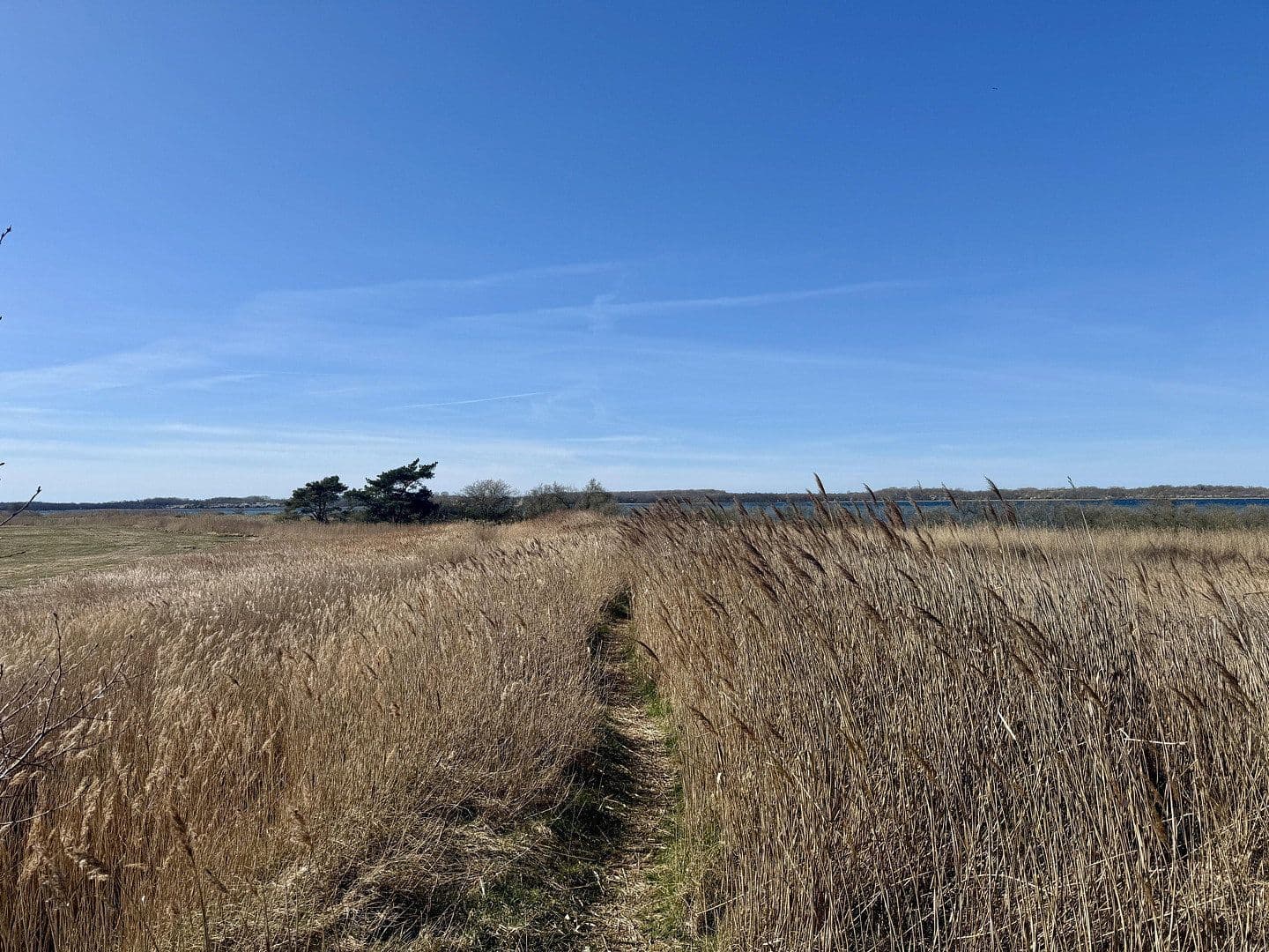Prodej pozemku 573 m², Zum Haff, Am Salzhaff, Mecklenburg-Vorpommern Prodej pozemku 573 m², Zum Haff, Am Salzhaff, Mecklenburg-Vorpommern
