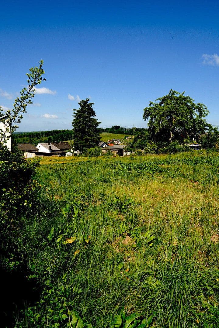 Prodej pozemku 1.205 m², Waldstr. 7, Hilgert, Porýní-Falc Prodej pozemku 1.205 m², Waldstr. 7, Hilgert, Porýní-Falc