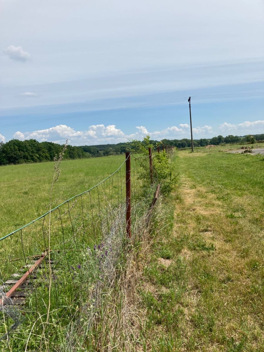 Prodej pozemku 800 m², Veselí, Pardubický kraj Prodej pozemku 800 m², Veselí, Pardubický kraj