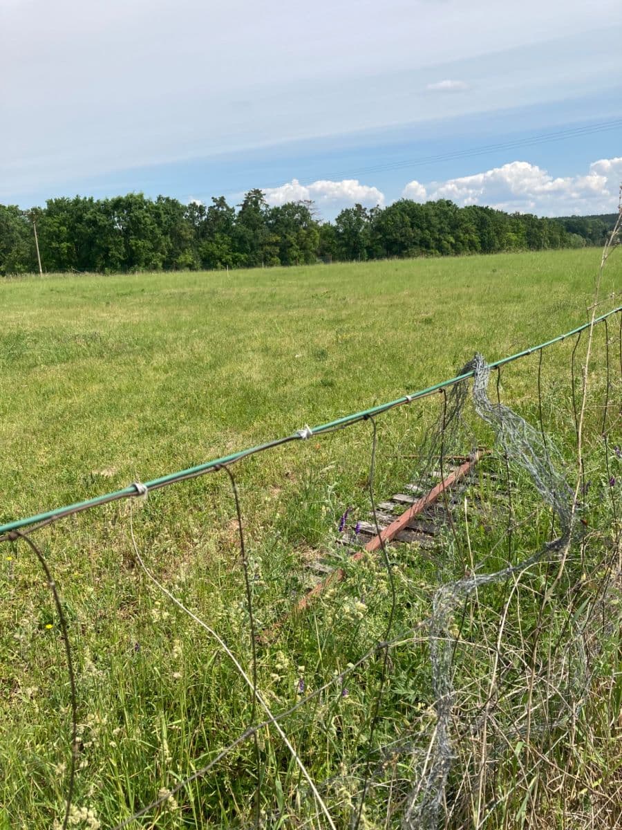 Prodej pozemku 800 m², Veselí, Pardubický kraj Prodej pozemku 800 m², Veselí, Pardubický kraj