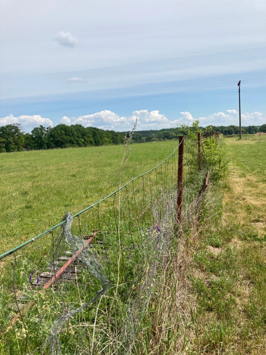 Prodej pozemku 800 m², Veselí, Pardubický kraj Prodej pozemku 800 m², Veselí, Pardubický kraj