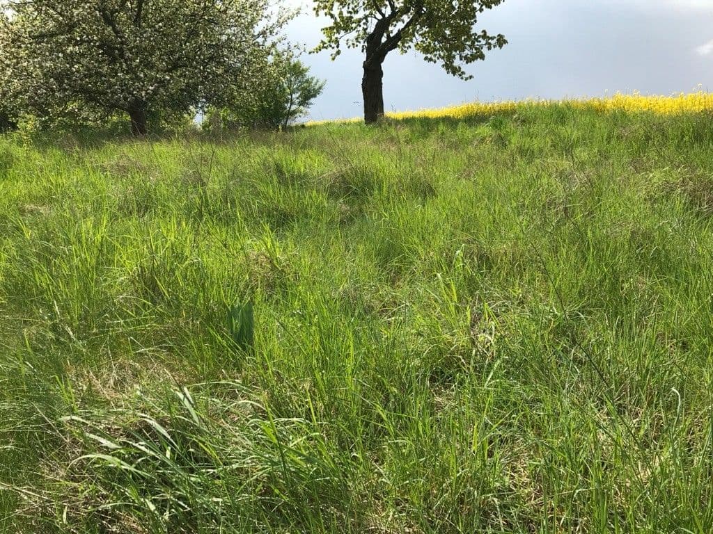 Pronájem pozemku 5.711 m², Dalovice, Středočeský kraj Pronájem pozemku 5.711 m², Dalovice, Středočeský kraj
