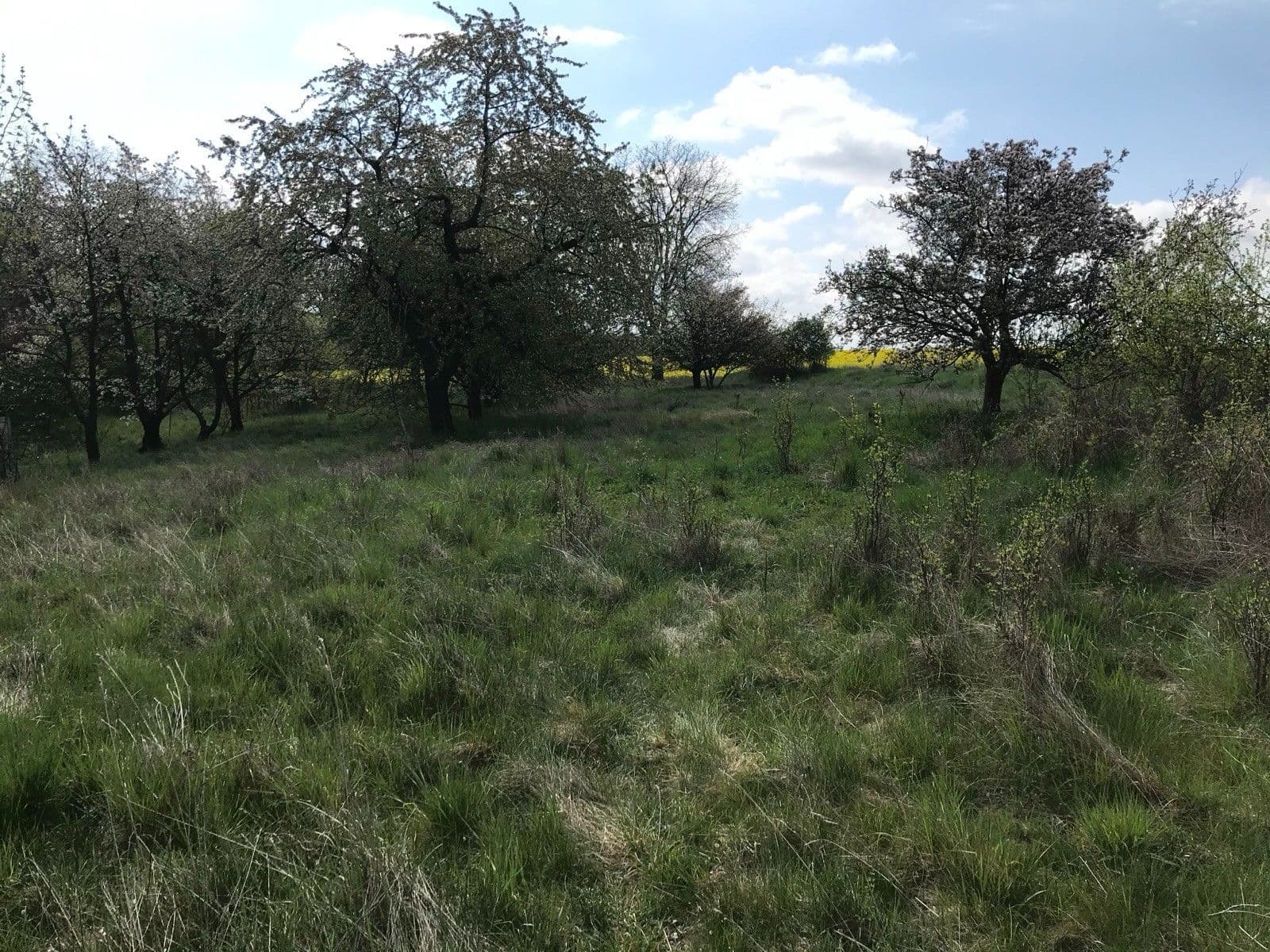 Pronájem pozemku 5.711 m², Dalovice, Středočeský kraj Pronájem pozemku 5.711 m², Dalovice, Středočeský kraj