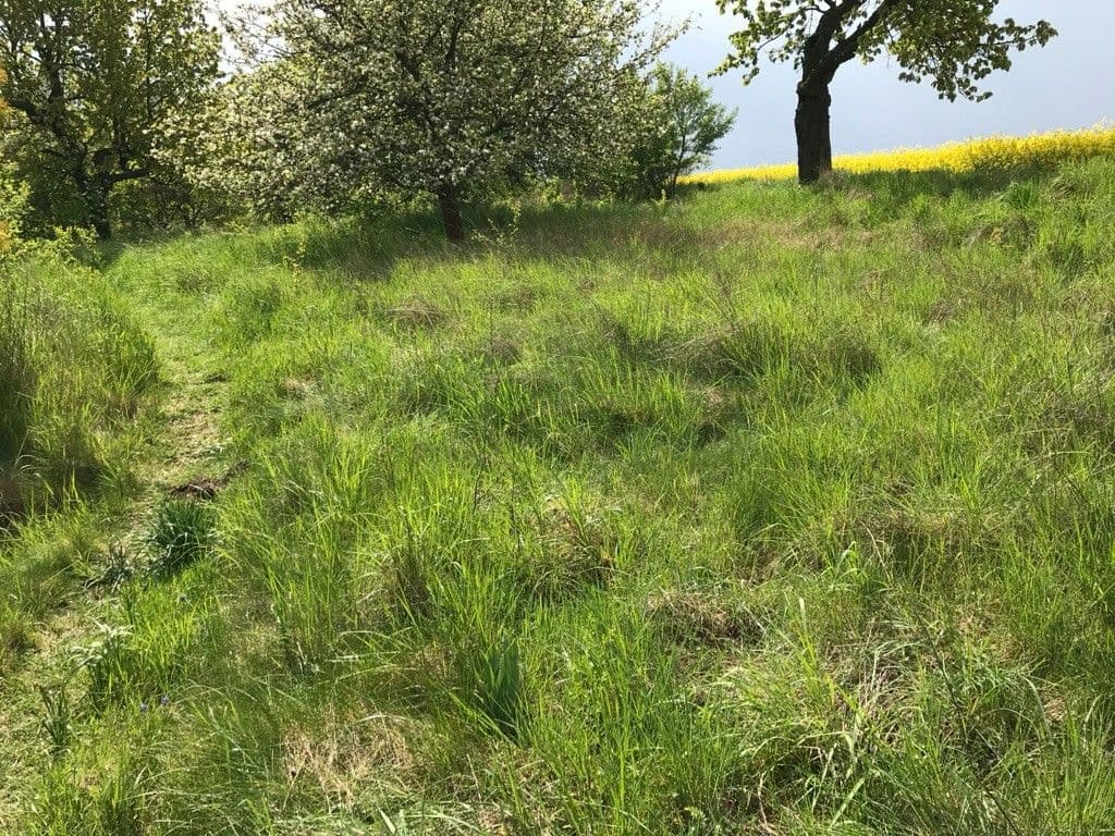 Pronájem pozemku 5.711 m², Dalovice, Středočeský kraj Pronájem pozemku 5.711 m², Dalovice, Středočeský kraj