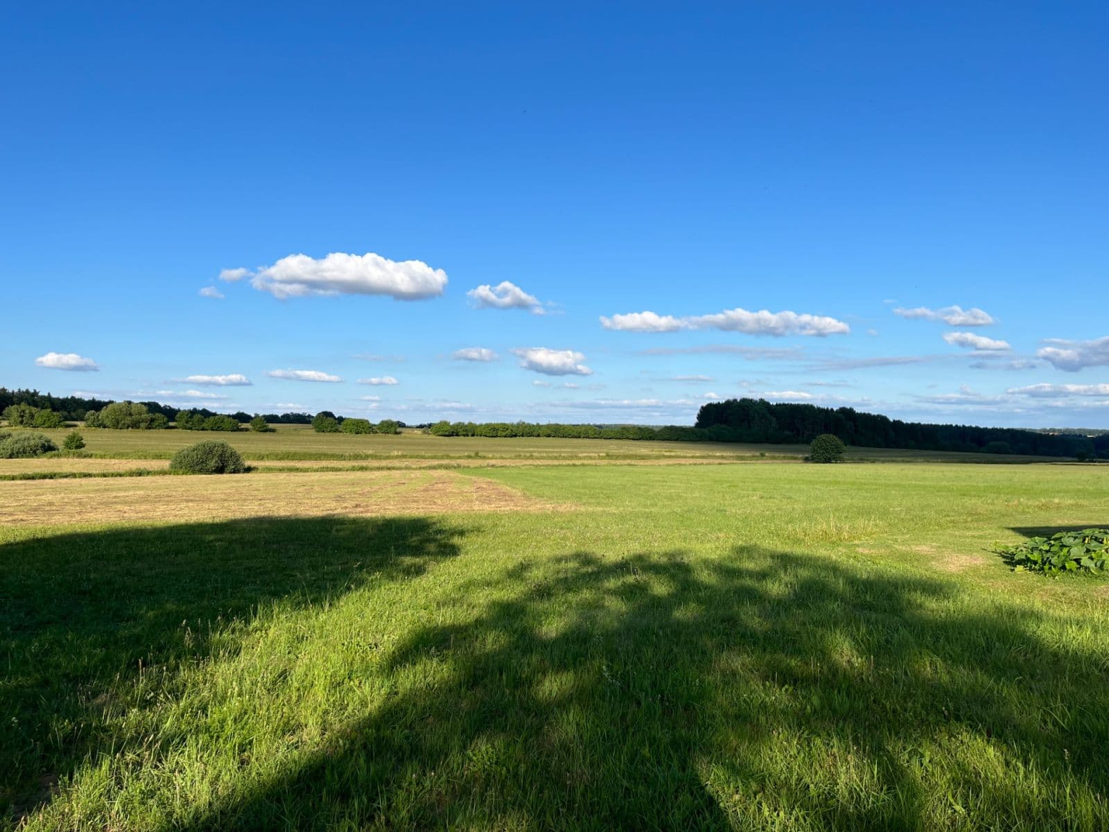 Prodej pozemku 2.500 m², Opařany, Jihočeský kraj Prodej pozemku 2.500 m², Opařany, Jihočeský kraj