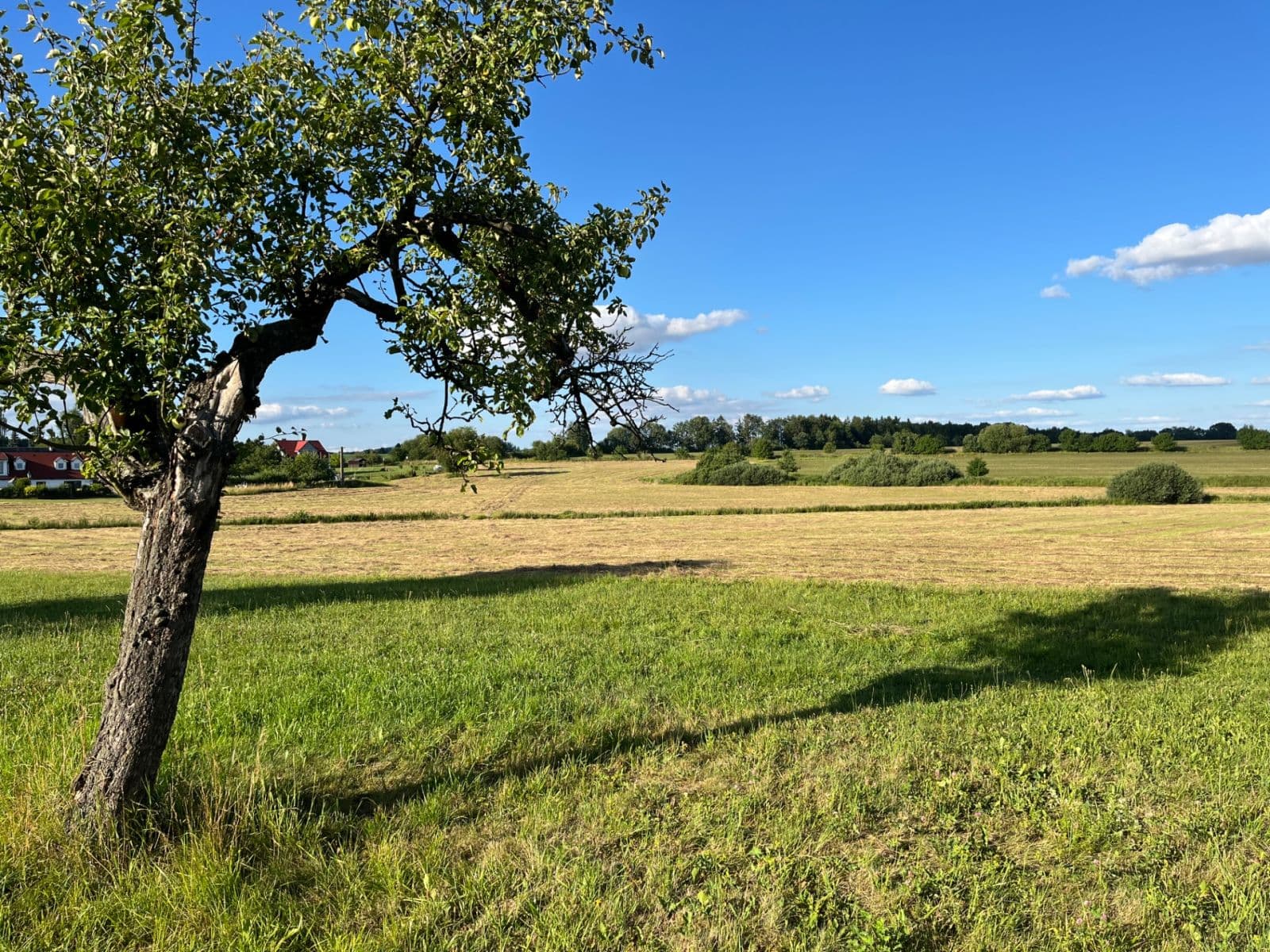 Prodej pozemku 2.500 m², Opařany, Jihočeský kraj Prodej pozemku 2.500 m², Opařany, Jihočeský kraj