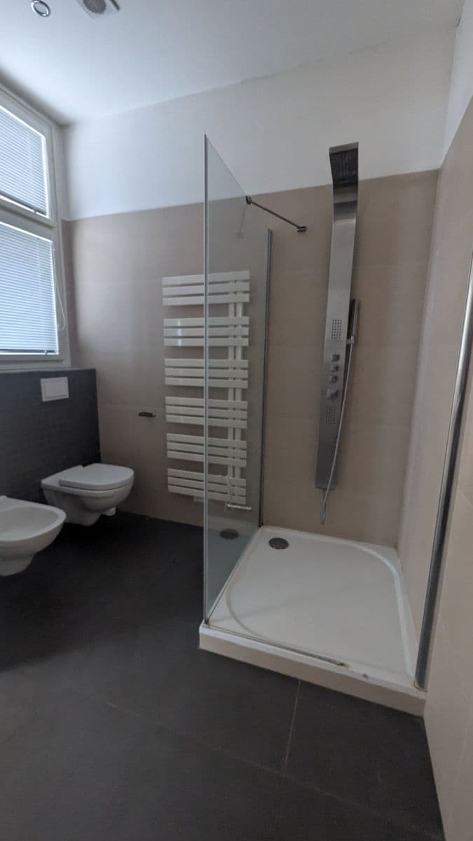 Pronájem bytu 2+kk 73 m², Vodičkova, Praha, Praha Pronájem bytu 2+kk 73 m², Vodičkova, Praha, Praha