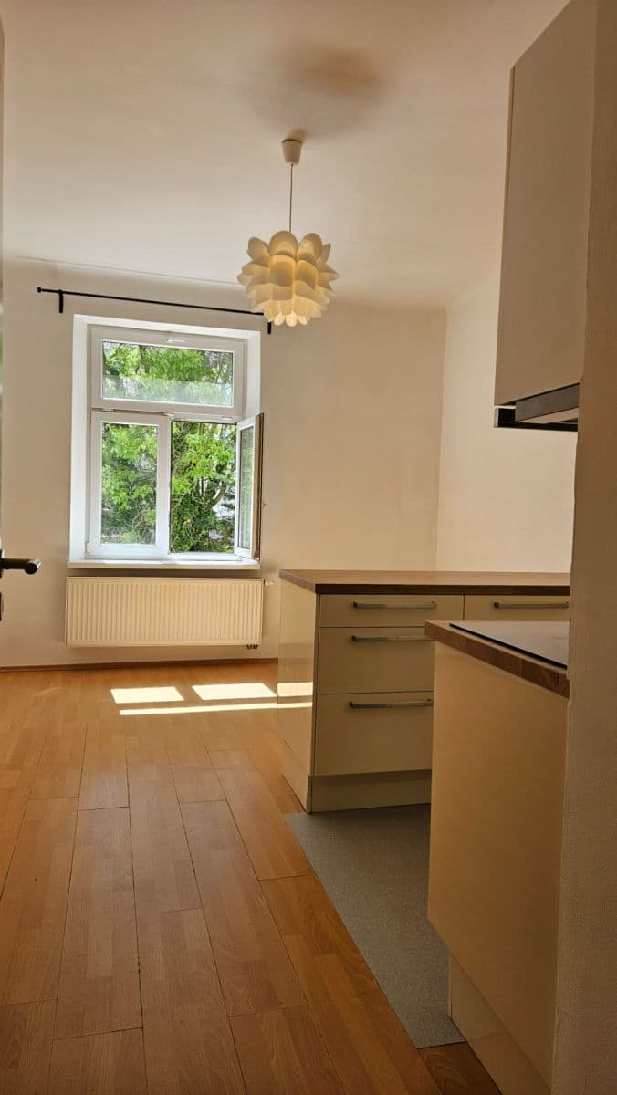 Pronájem bytu 2+kk 42 m², Horní, Praha, Praha Pronájem bytu 2+kk 42 m², Horní, Praha, Praha