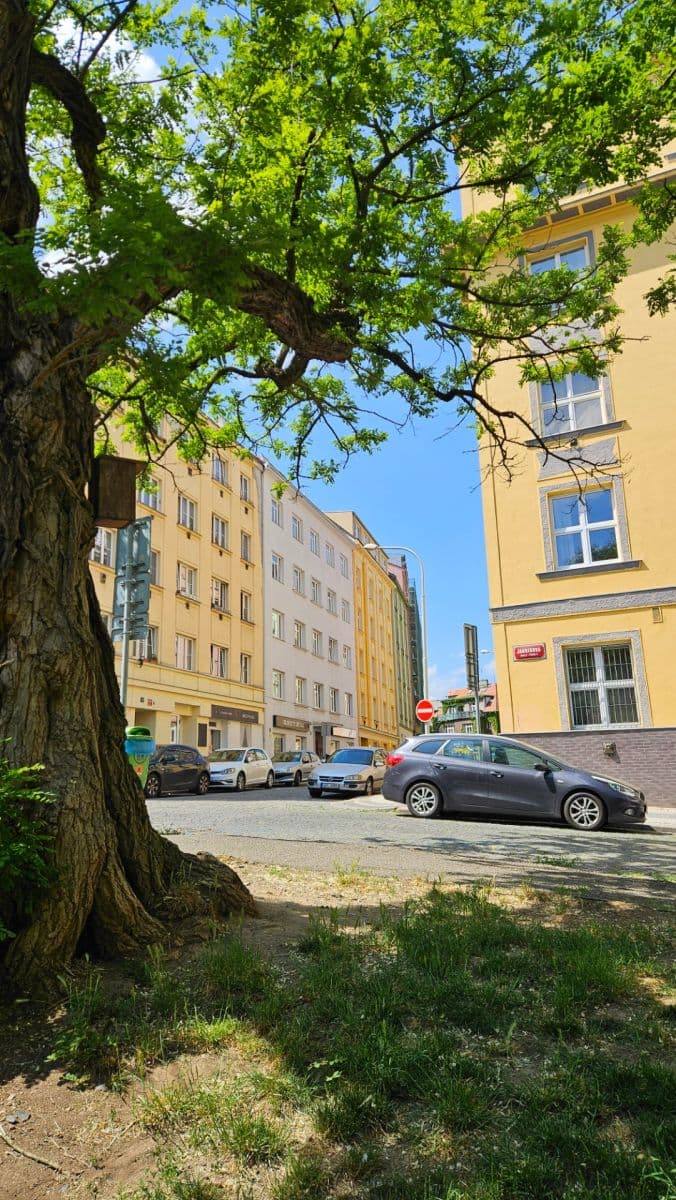 Pronájem bytu 2+kk 42 m², Horní, Praha, Praha Pronájem bytu 2+kk 42 m², Horní, Praha, Praha