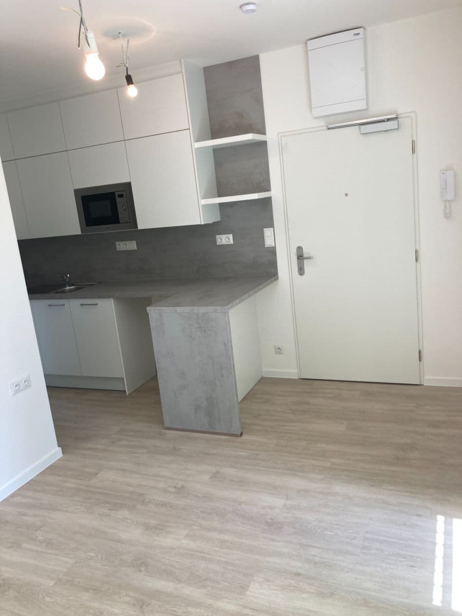 Pronájem bytu 1+kk 20 m², Svitavská, Brno, Jihomoravský kraj Pronájem bytu 1+kk 20 m², Svitavská, Brno, Jihomoravský kraj