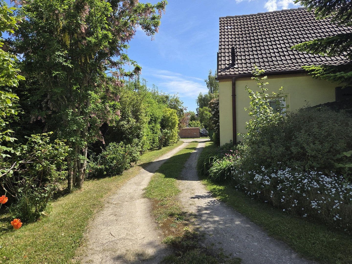 Prodej domu 175 m², pozemek 3.574 m², Usedom, Mecklenburg-Vorpommern Prodej domu 175 m², pozemek 3.574 m², Usedom, Mecklenburg-Vorpommern