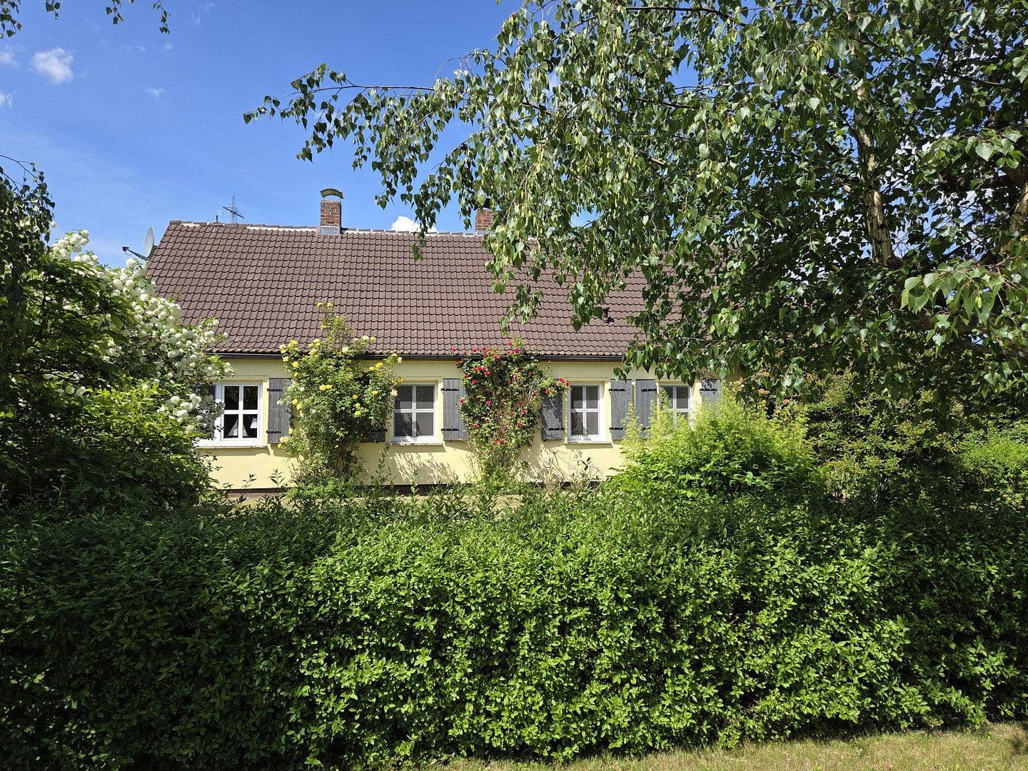 Prodej domu 175 m², pozemek 3.574 m², Usedom, Mecklenburg-Vorpommern Prodej domu 175 m², pozemek 3.574 m², Usedom, Mecklenburg-Vorpommern