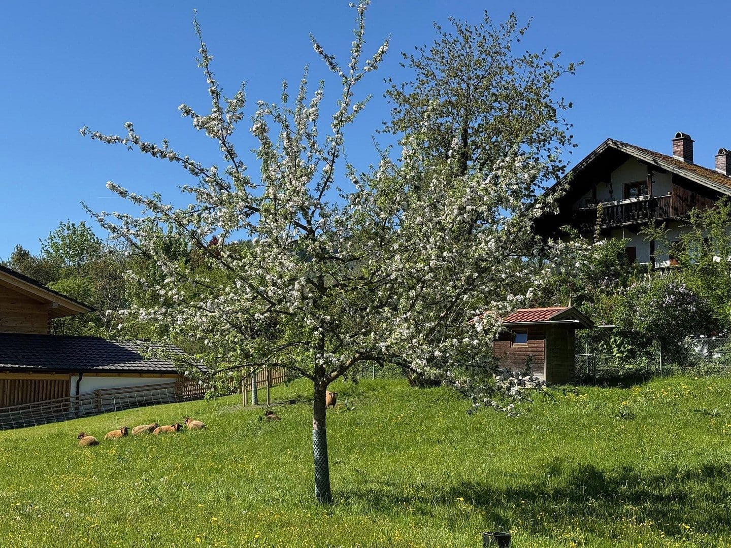 Prodej bytu 2+1 45 m², Oberaudorf, Bavorsko Prodej bytu 2+1 45 m², Oberaudorf, Bavorsko