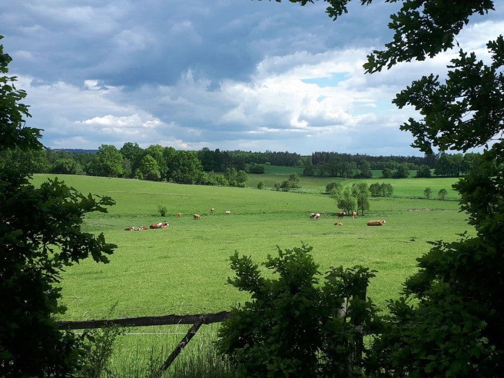 Prodej pozemku 2.678 m², Chotěmice, Jihočeský kraj Prodej pozemku 2.678 m², Chotěmice, Jihočeský kraj