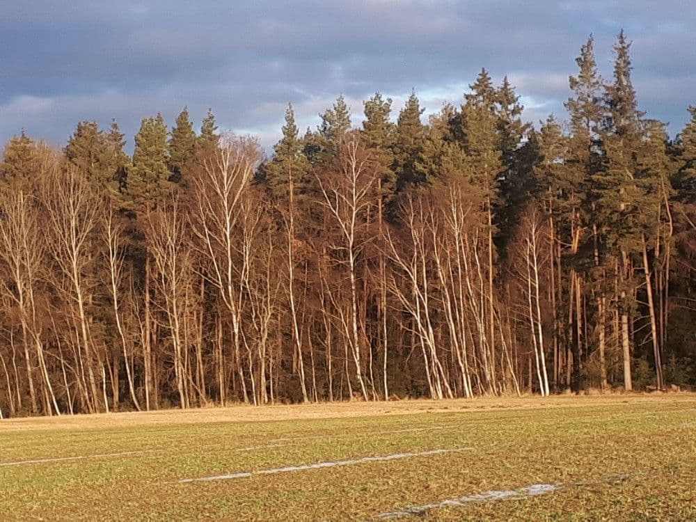 Prodej pozemku 2.678 m², Chotěmice, Jihočeský kraj Prodej pozemku 2.678 m², Chotěmice, Jihočeský kraj