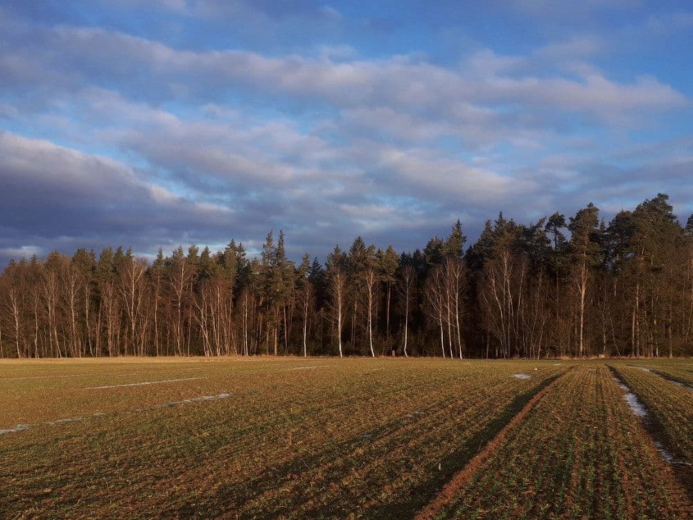 Prodej pozemku 2.678 m², Chotěmice, Jihočeský kraj Prodej pozemku 2.678 m², Chotěmice, Jihočeský kraj
