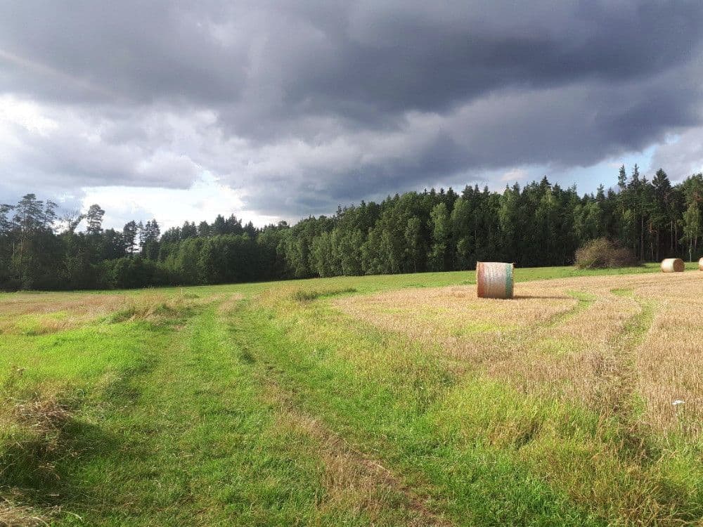 Prodej pozemku 2.678 m², Chotěmice, Jihočeský kraj Prodej pozemku 2.678 m², Chotěmice, Jihočeský kraj