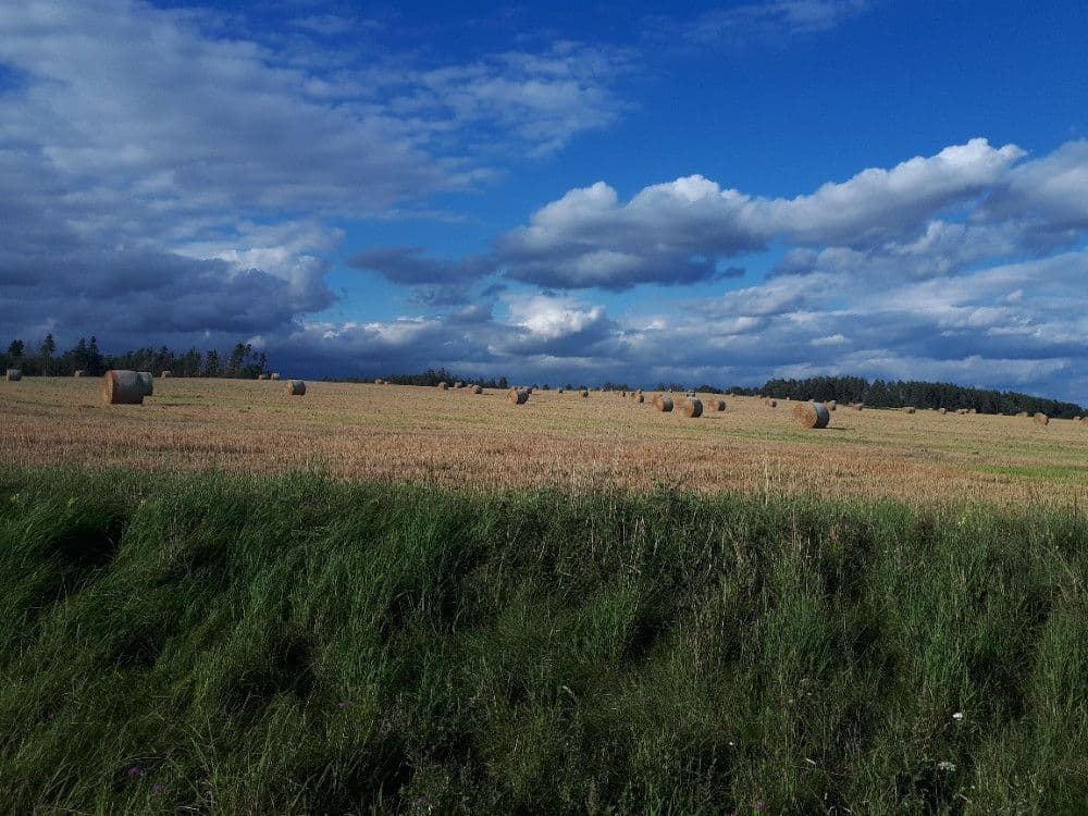 Prodej pozemku 2.678 m², Chotěmice, Jihočeský kraj Prodej pozemku 2.678 m², Chotěmice, Jihočeský kraj