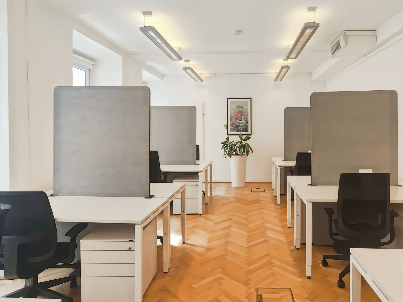 Pronájem kanceláře 550 m², Graben, Vienna, Wien Pronájem kanceláře 550 m², Graben, Vienna, Wien