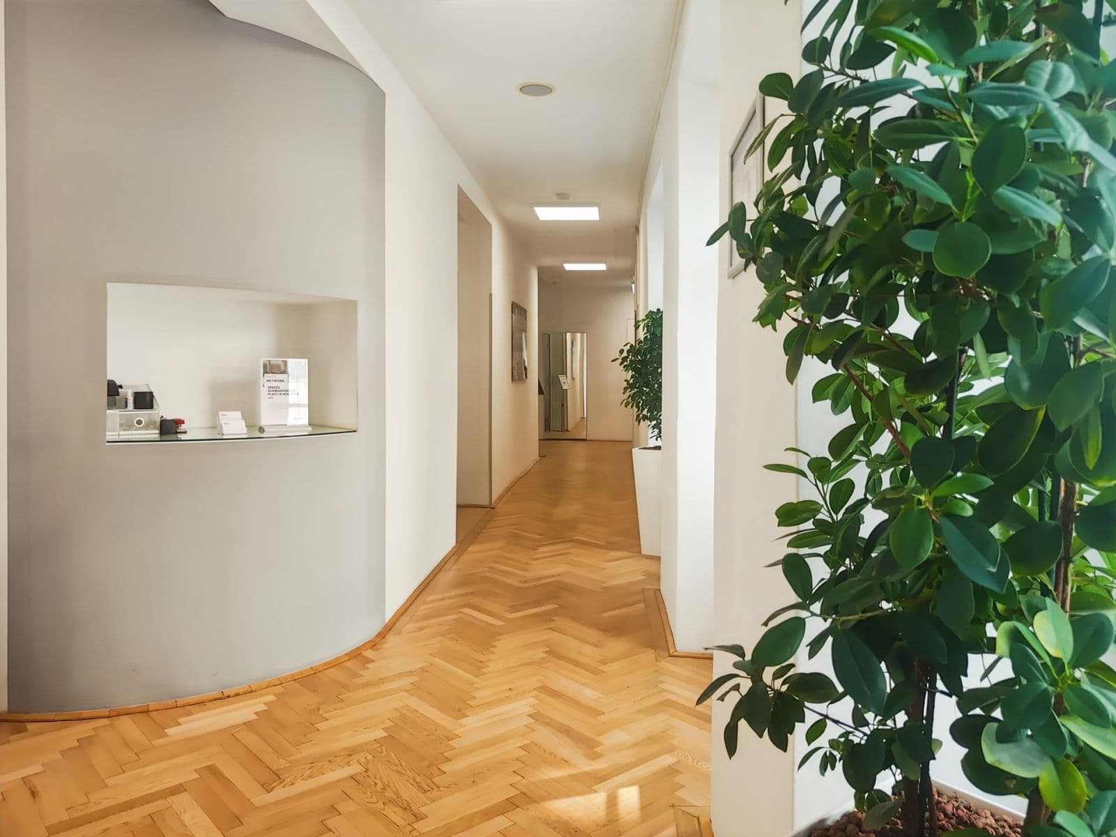 Pronájem kanceláře 550 m², Graben, Vienna, Wien Pronájem kanceláře 550 m², Graben, Vienna, Wien