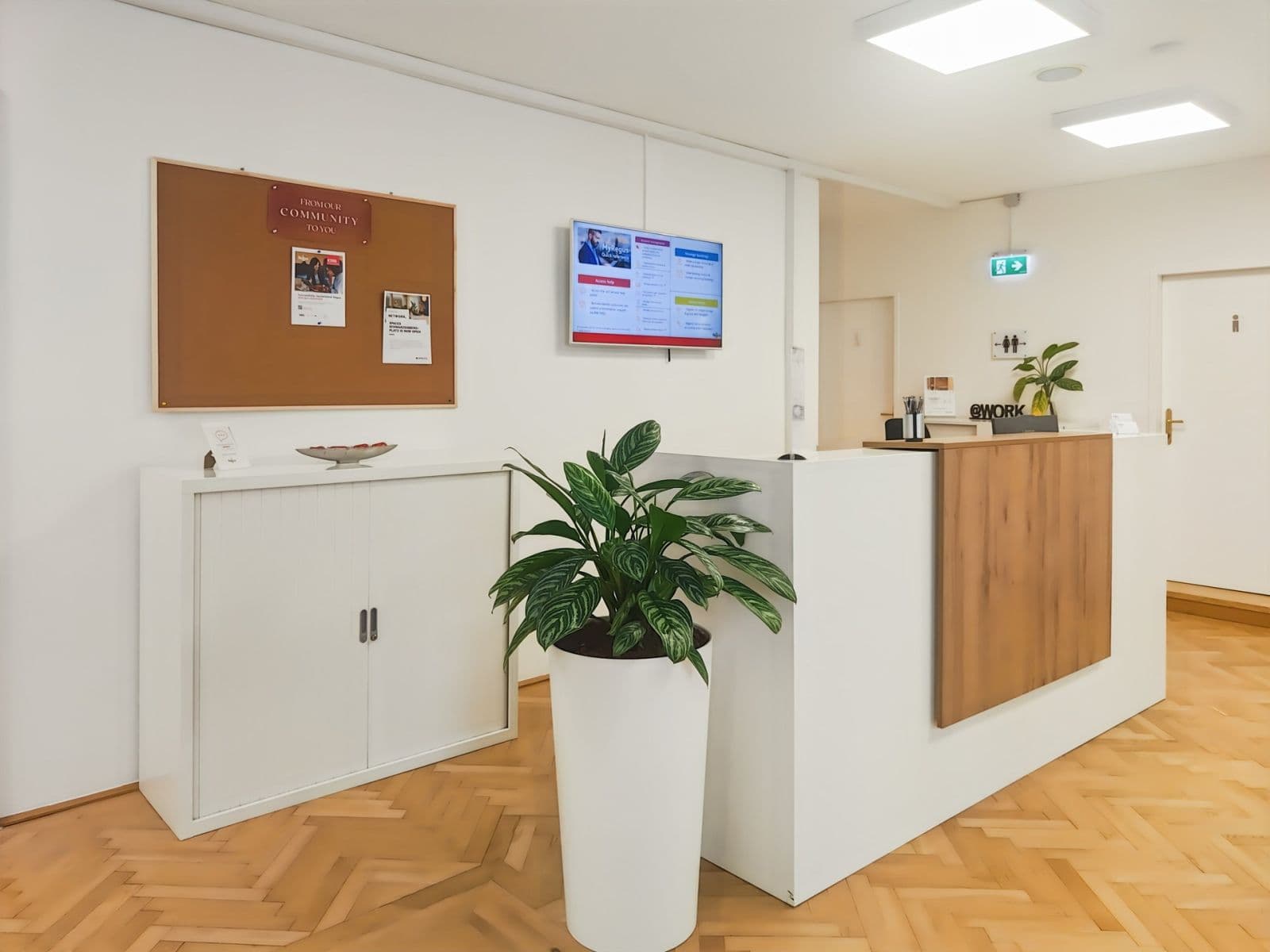 Pronájem kanceláře 550 m², Graben, Vienna, Wien Pronájem kanceláře 550 m², Graben, Vienna, Wien