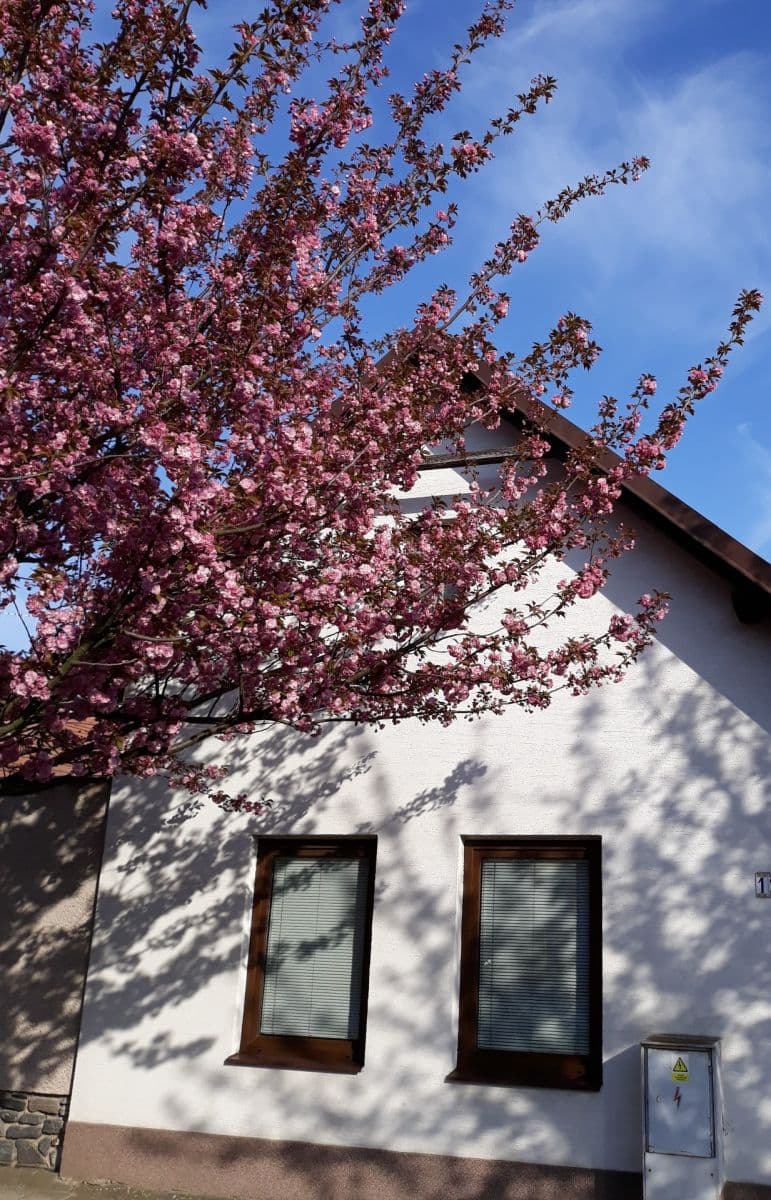 Prodej domu 145 m², pozemek 1.679 m², Tyršova, Žiželice, Středočeský kraj Prodej domu 145 m², pozemek 1.679 m², Tyršova, Žiželice, Středočeský kraj