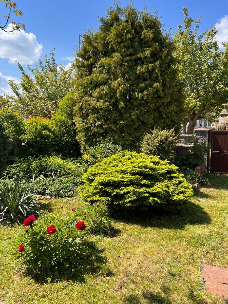 Prodej domu 145 m², pozemek 1.679 m², Tyršova, Žiželice, Středočeský kraj Prodej domu 145 m², pozemek 1.679 m², Tyršova, Žiželice, Středočeský kraj
