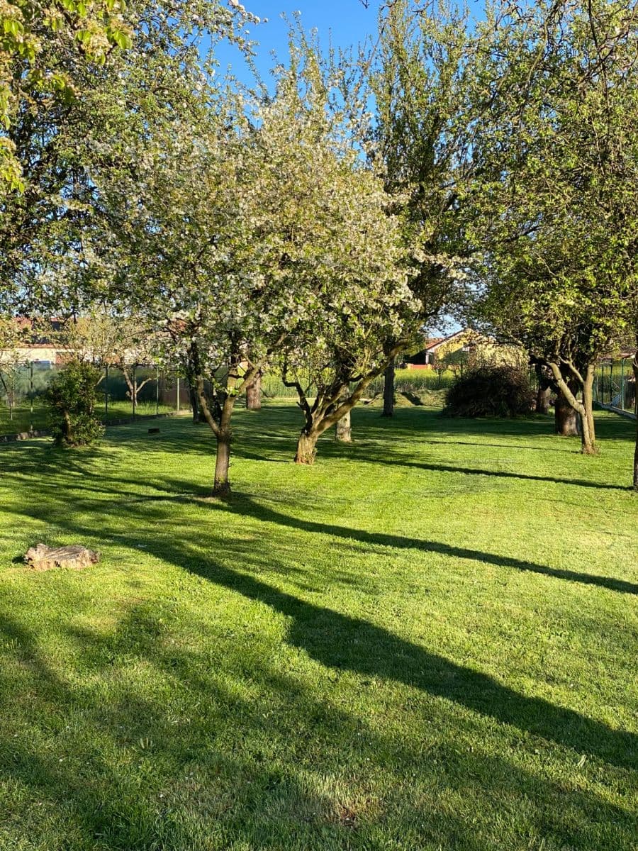 Prodej domu 145 m², pozemek 1.679 m², Tyršova, Žiželice, Středočeský kraj Prodej domu 145 m², pozemek 1.679 m², Tyršova, Žiželice, Středočeský kraj