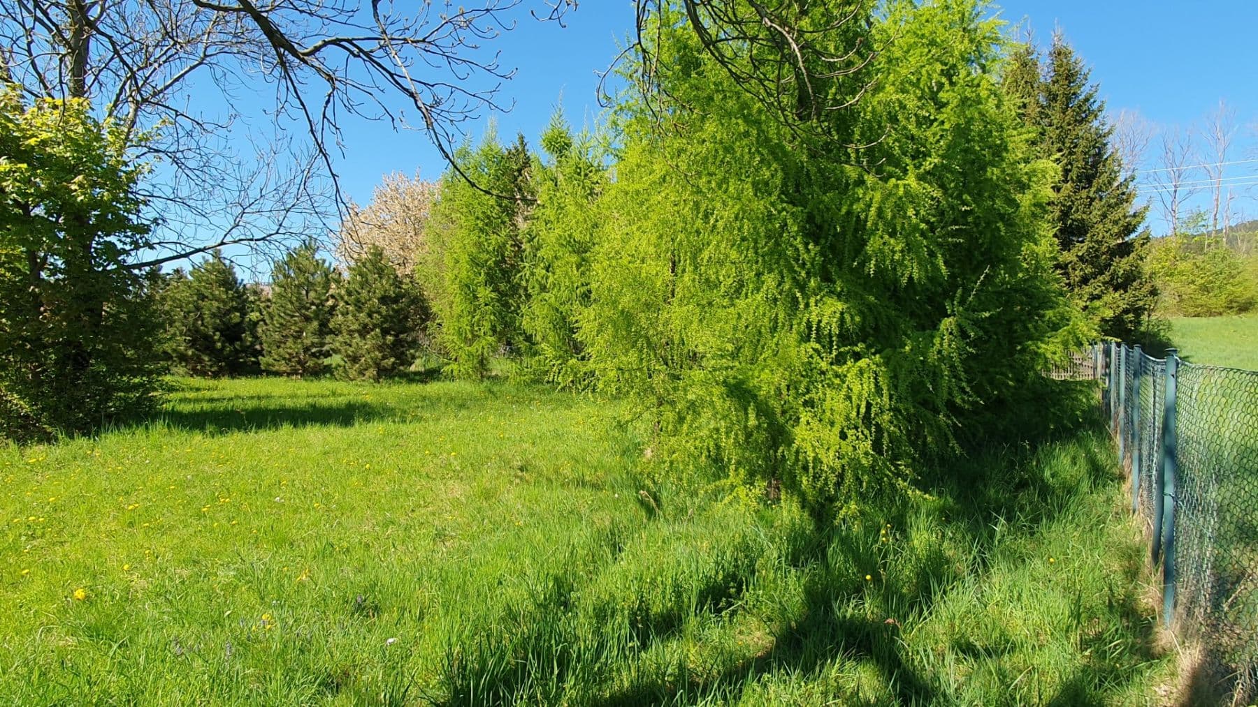 Prodej pozemku 1.096 m², Světlá pod Ještědem, Liberecký kraj Prodej pozemku 1.096 m², Světlá pod Ještědem, Liberecký kraj
