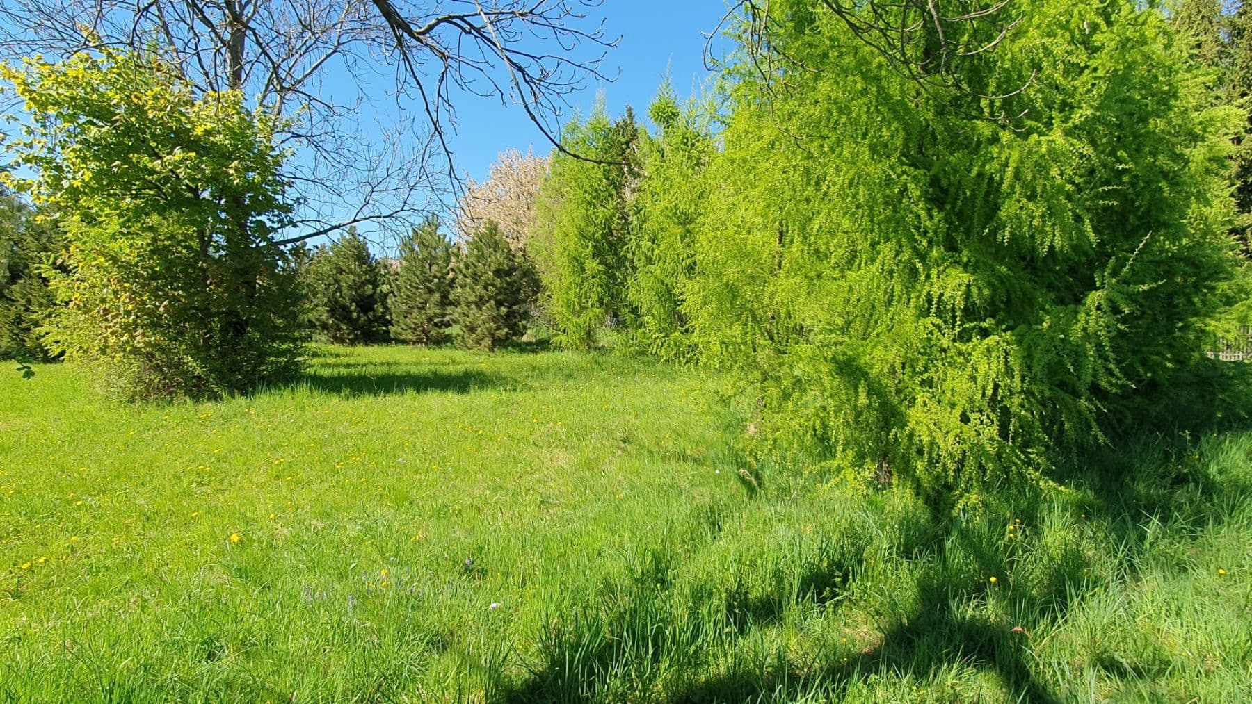 Prodej pozemku 1.096 m², Světlá pod Ještědem, Liberecký kraj Prodej pozemku 1.096 m², Světlá pod Ještědem, Liberecký kraj