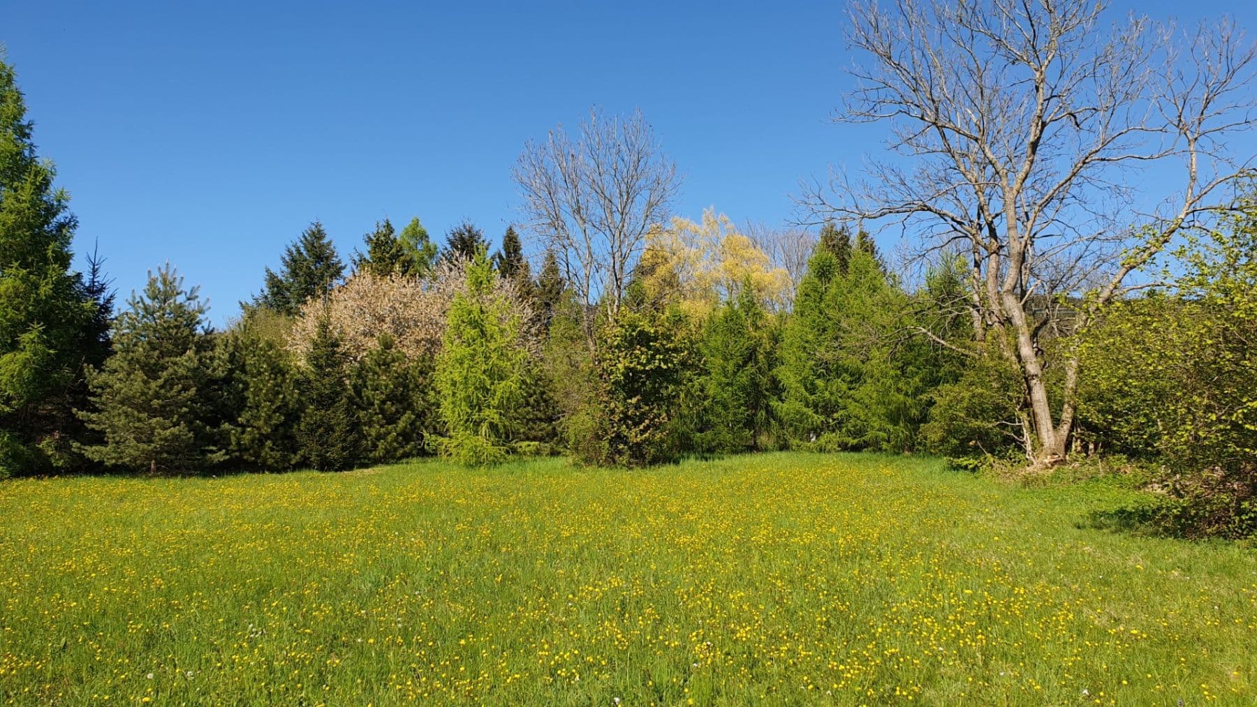 Prodej pozemku 1.096 m², Světlá pod Ještědem, Liberecký kraj Prodej pozemku 1.096 m², Světlá pod Ještědem, Liberecký kraj