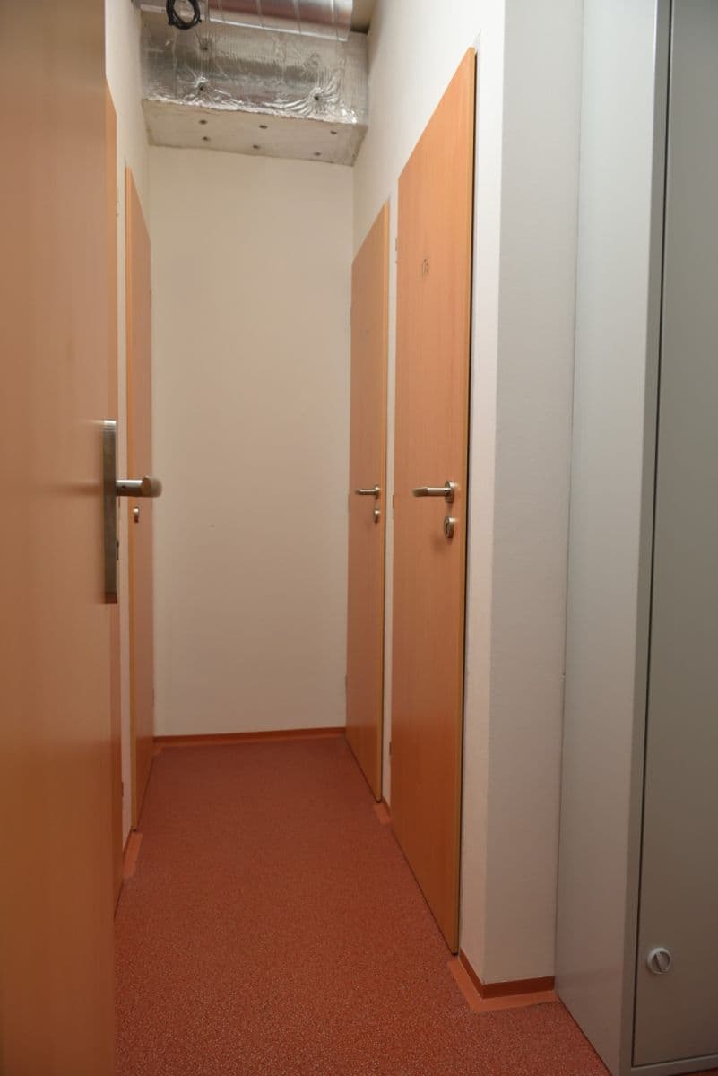 Pronájem bytu 1+kk 25 m², Přadlácká, Brno, Jihomoravský kraj Pronájem bytu 1+kk 25 m², Přadlácká, Brno, Jihomoravský kraj