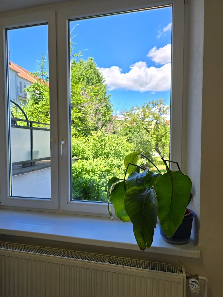 Pronájem bytu 2+kk 37 m², Tyršova, Brno, Jihomoravský kraj Pronájem bytu 2+kk 37 m², Tyršova, Brno, Jihomoravský kraj