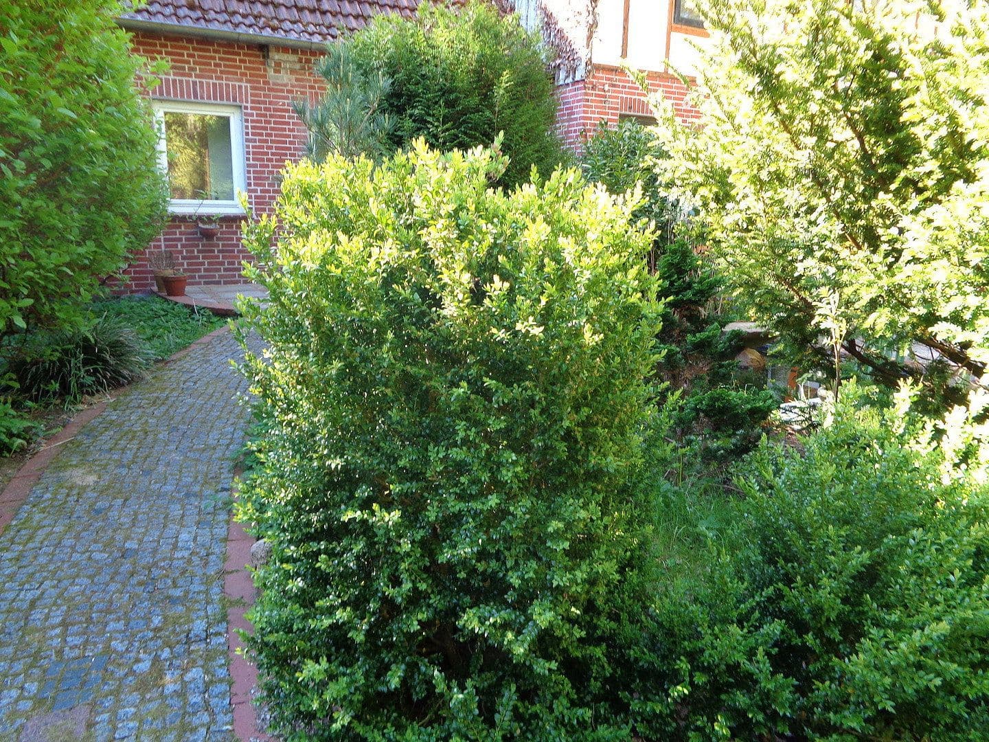 Pronájem bytu 2+1 68 m², Schneverdingen, Dolní Sasko Pronájem bytu 2+1 68 m², Schneverdingen, Dolní Sasko