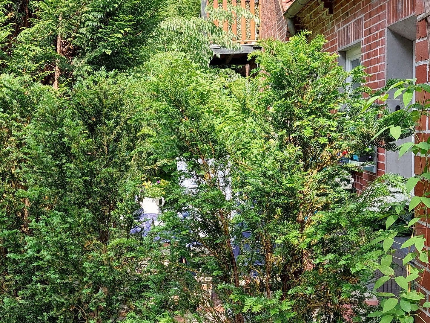 Pronájem bytu 2+1 68 m², Schneverdingen, Dolní Sasko Pronájem bytu 2+1 68 m², Schneverdingen, Dolní Sasko