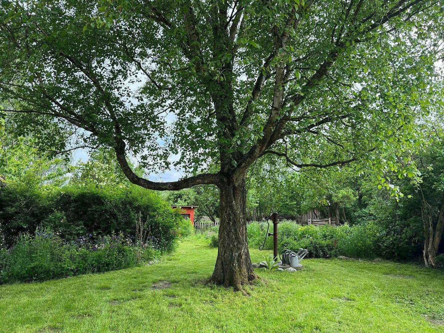 Prodej domu 380 m², pozemek 210.192 m², Wietzow, Daberkow, Mecklenburg-Vorpommern Prodej domu 380 m², pozemek 210.192 m², Wietzow, Daberkow, Mecklenburg-Vorpommern