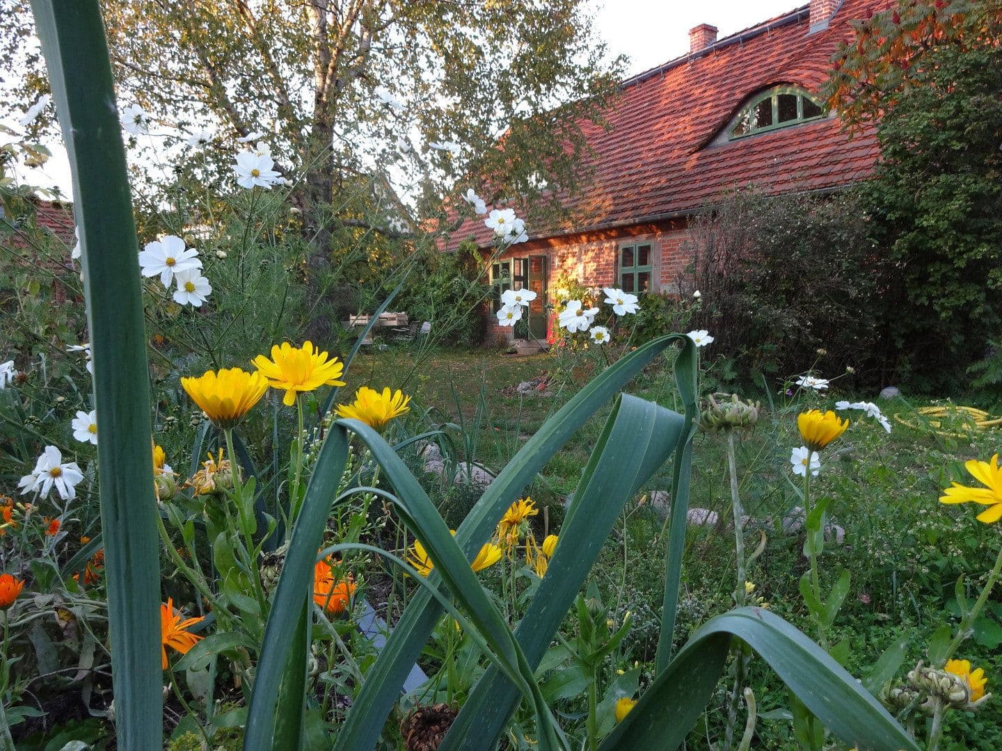 Prodej domu 380 m², pozemek 210.192 m², Wietzow, Daberkow, Mecklenburg-Vorpommern Prodej domu 380 m², pozemek 210.192 m², Wietzow, Daberkow, Mecklenburg-Vorpommern