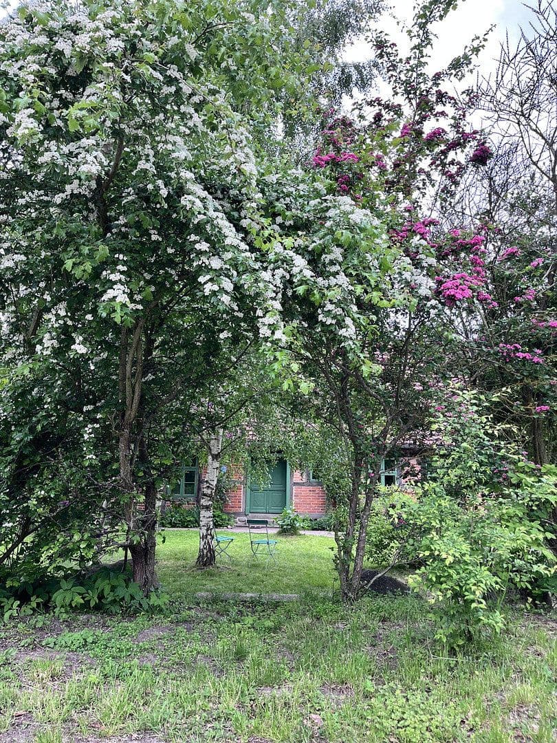 Prodej domu 380 m², pozemek 210.192 m², Wietzow, Daberkow, Mecklenburg-Vorpommern Prodej domu 380 m², pozemek 210.192 m², Wietzow, Daberkow, Mecklenburg-Vorpommern