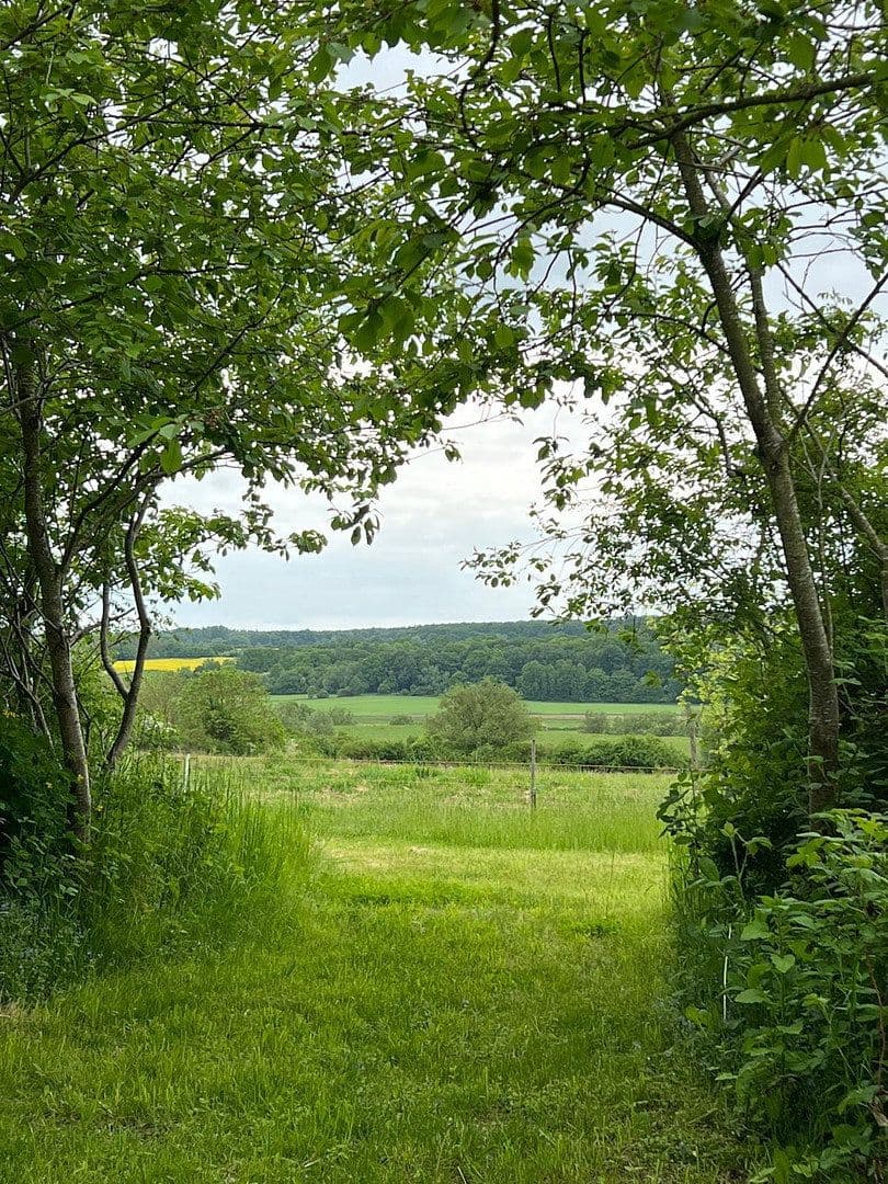 Prodej domu 380 m², pozemek 210.192 m², Wietzow, Daberkow, Mecklenburg-Vorpommern Prodej domu 380 m², pozemek 210.192 m², Wietzow, Daberkow, Mecklenburg-Vorpommern
