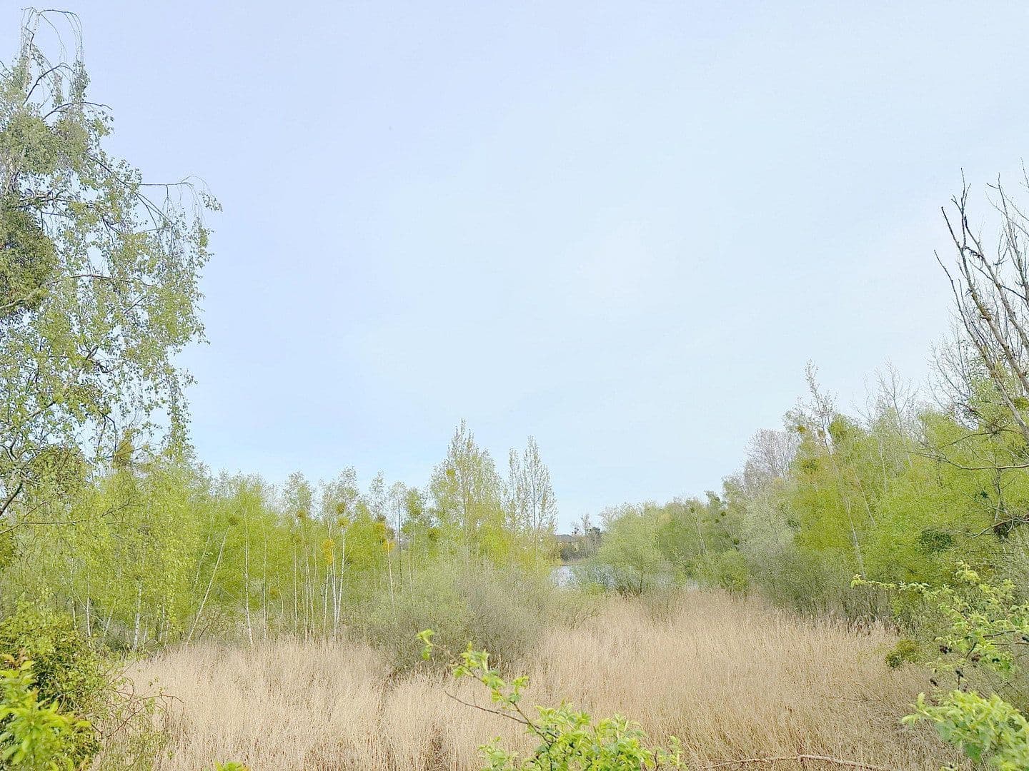 Prodej bytu 3+1 88 m², Spandauer Straße 149, Falkensee, Braniborsko Prodej bytu 3+1 88 m², Spandauer Straße 149, Falkensee, Braniborsko